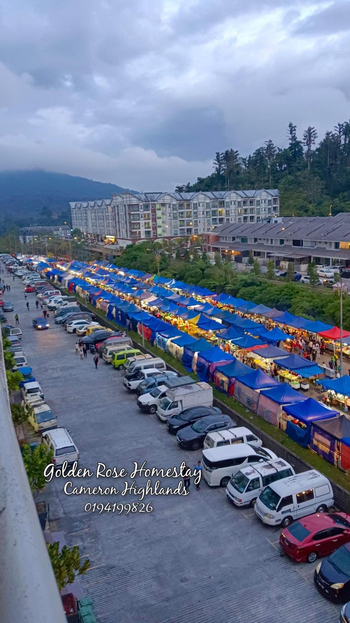 Golden Rose Homestay Cameron Highlands Brincsang Kültér fotó